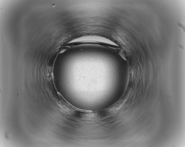 X0000095520237200712281507