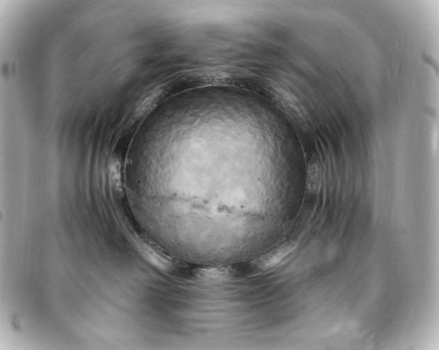 X0000095520238200712281507