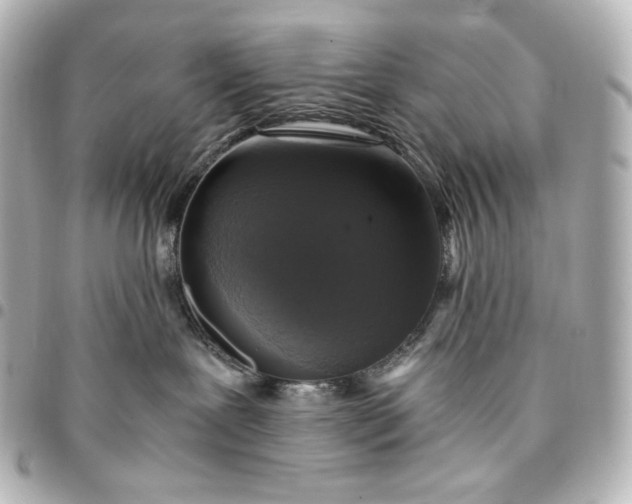 X0000095520239200712281507