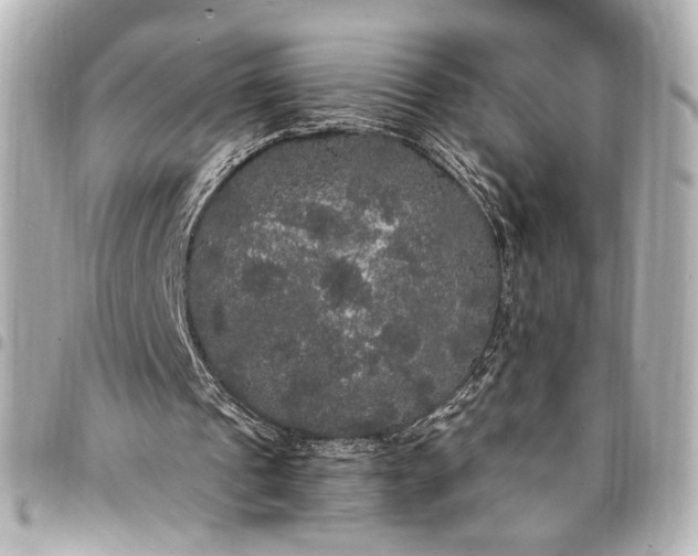 X0000095520241200712281506