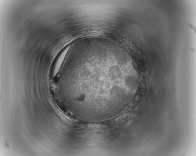 X0000095520242200712281506