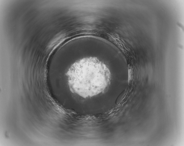 X0000095520243200712281506