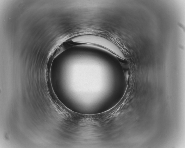 X0000095520244200712281506