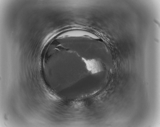 X0000095520247200712281506