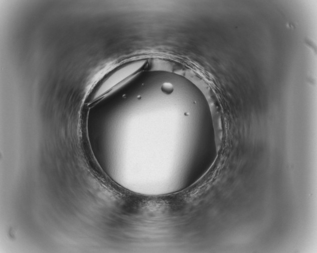 X0000095520248200712281506