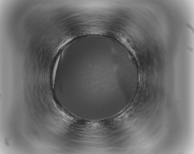 X0000095520249200712281506