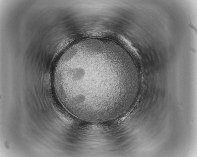 X0000095520250200712281506