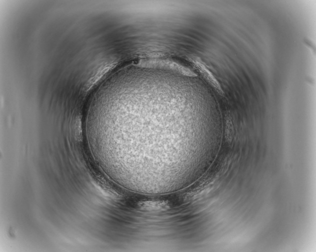 X0000095520251200712281506