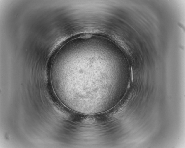 X0000095520252200712281506