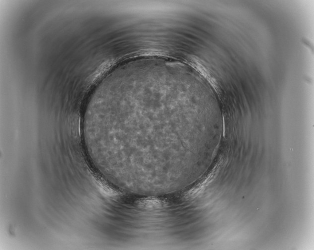 X0000095520253200712281506