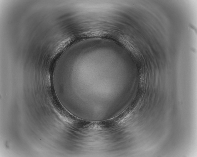 X0000095520254200712281506