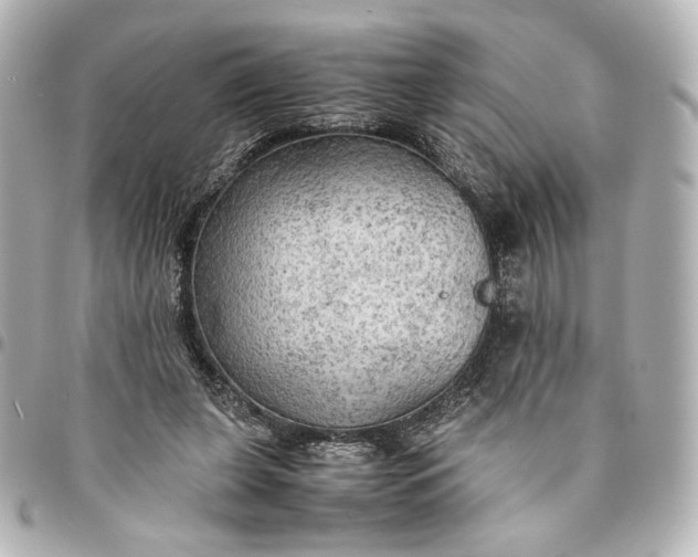 X0000095520255200712281506