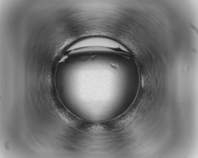 X0000095520256200712281506