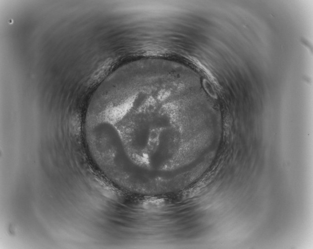 X0000095520257200712281506