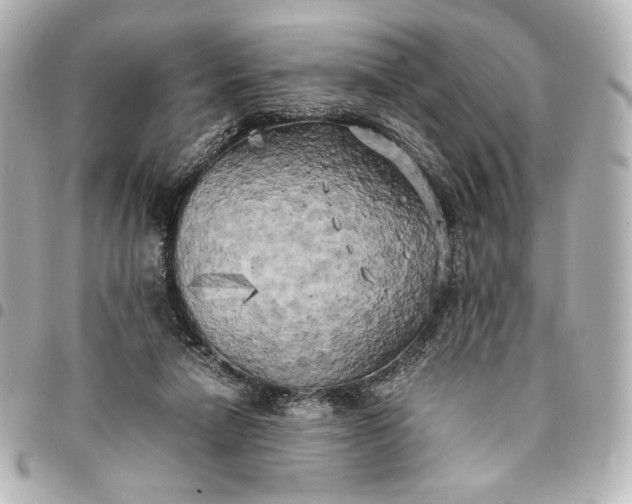 X0000095520258200712281506