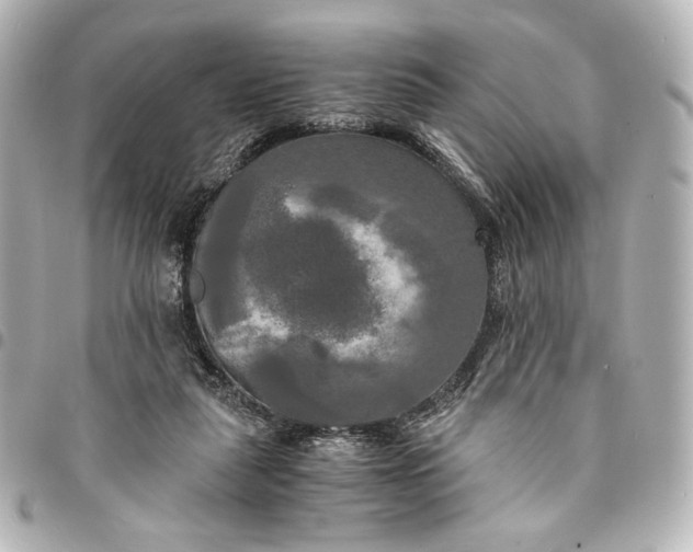 X0000095520259200712281506