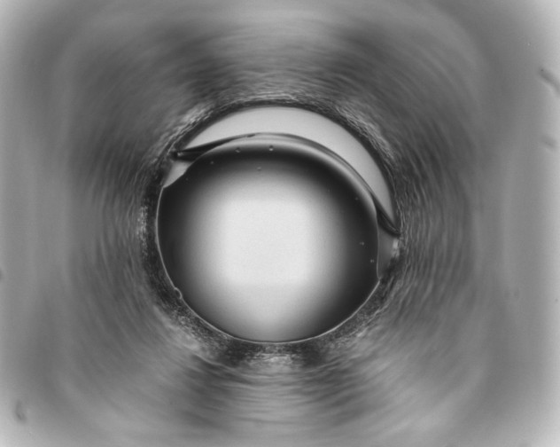 X0000095520260200712281506