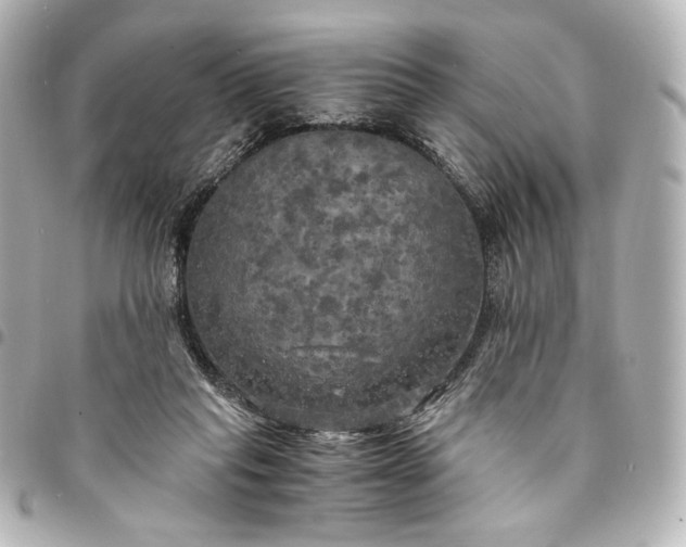 X0000095520261200712281506