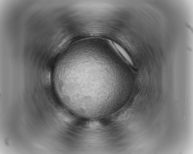 X0000095520262200712281506