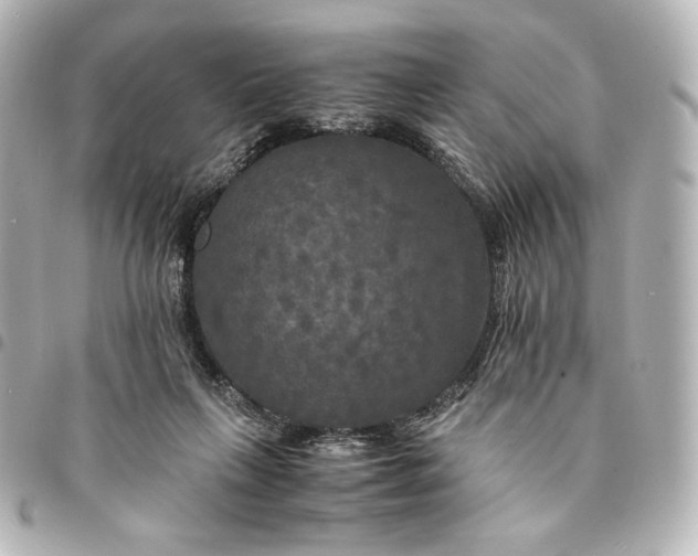 X0000095520263200712281506