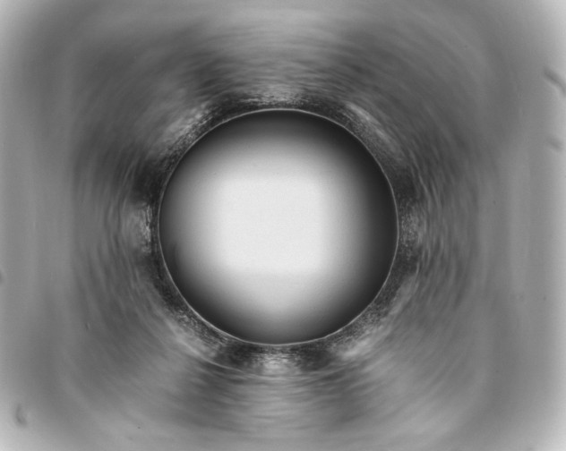 X0000095520264200712281506