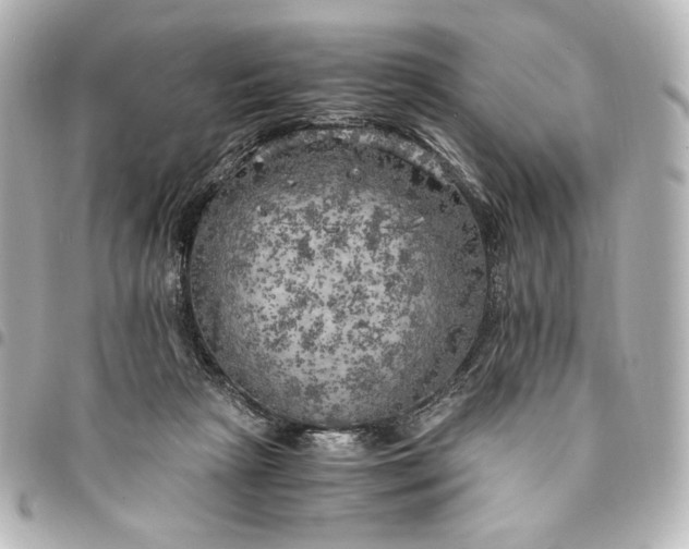 X0000095520265200712281506