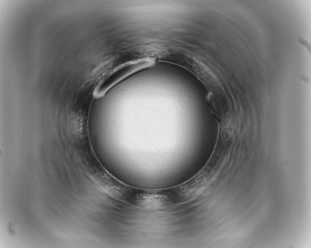 X0000095520268200712281506