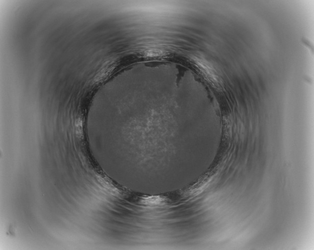 X0000095520269200712281506