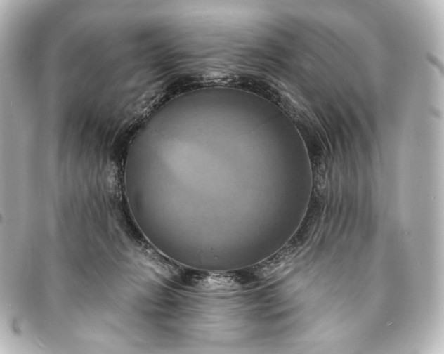 X0000095520270200712281506