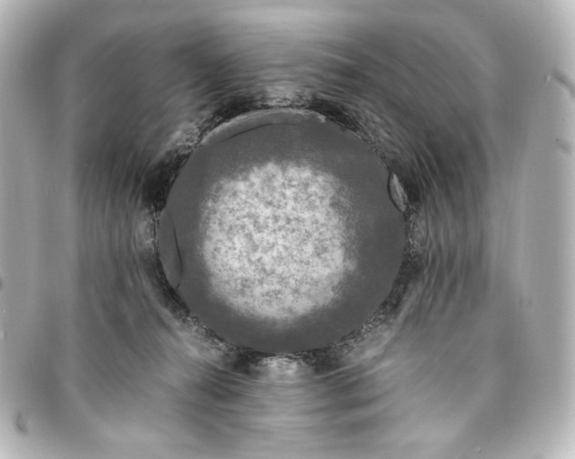 X0000095520272200712281507