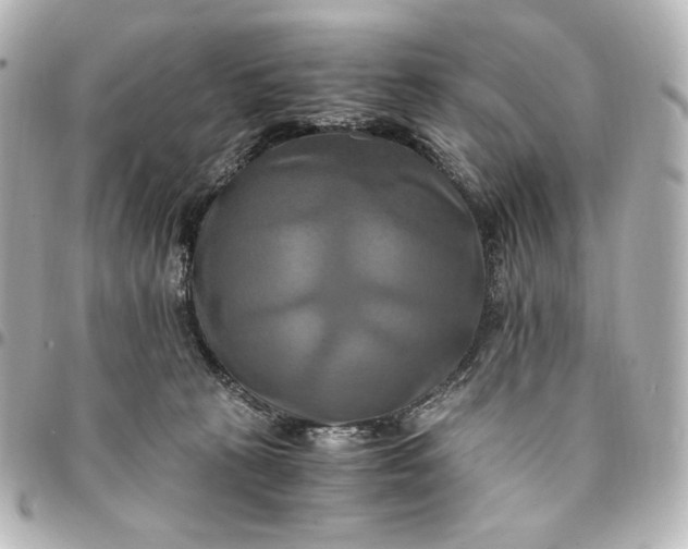 X0000095520273200712281507