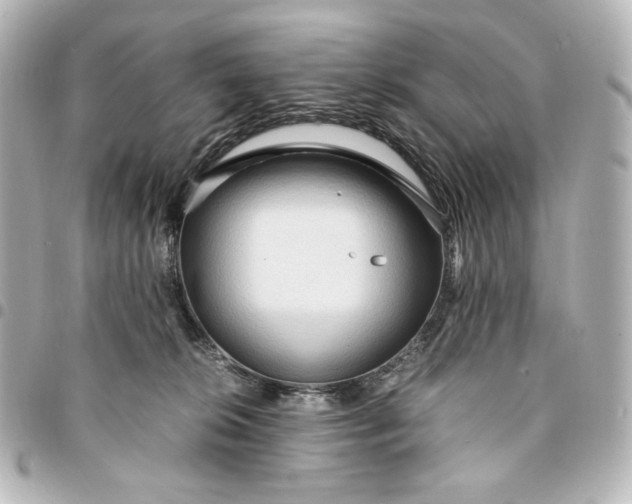 X0000095520276200712281507