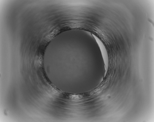 X0000095520277200712281507