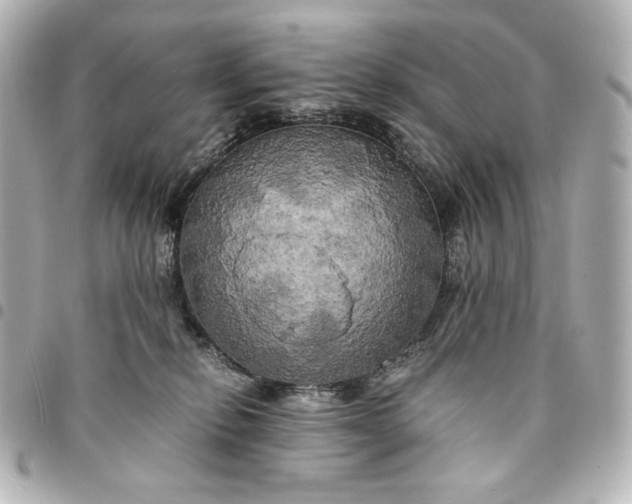 X0000095520278200712281507