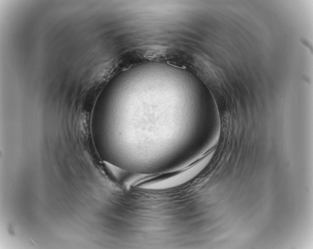 X0000095520280200712281507