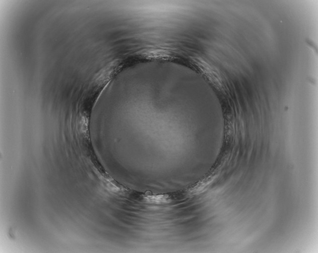 X0000095520281200712281507