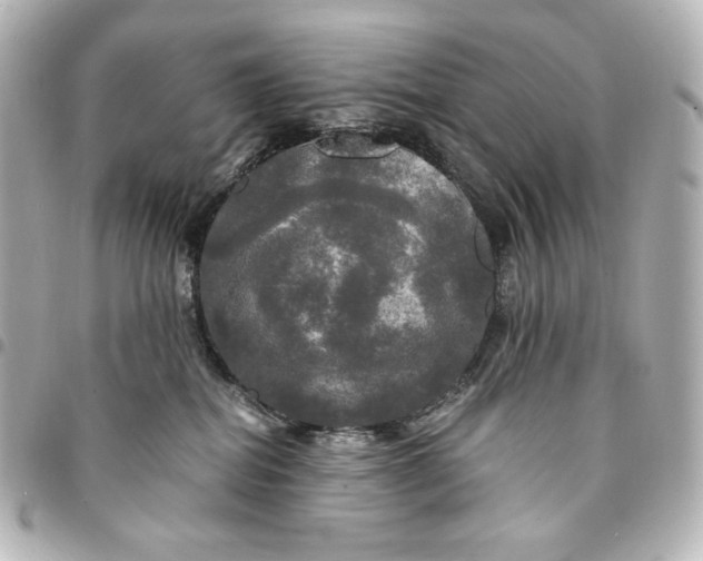 X0000095520282200712281507