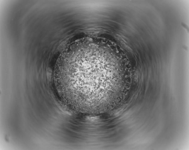 X0000095520283200712281507