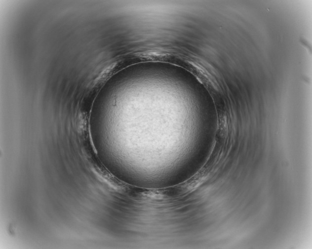 X0000095520284200712281507