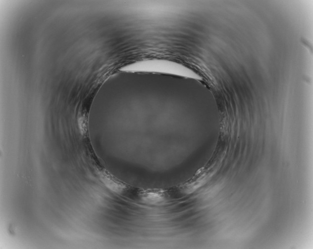 X0000095520285200712281507