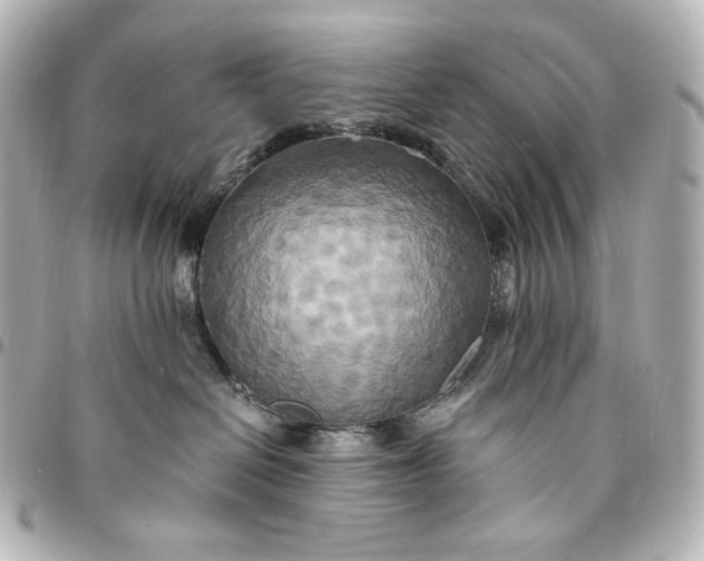 X0000095520286200712281507