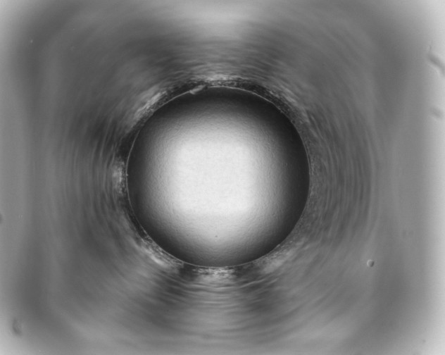 X0000095520288200712281507