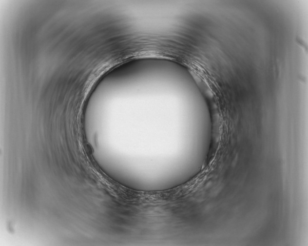 X0000095520289200712281506