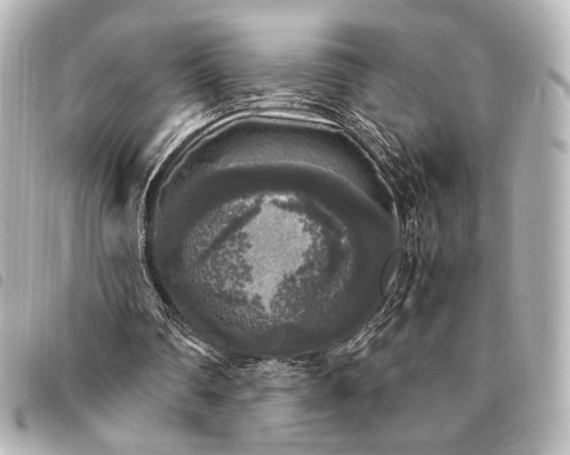 X0000095520290200712281506