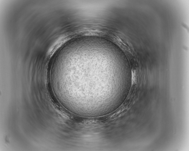 X0000095520291200712281506