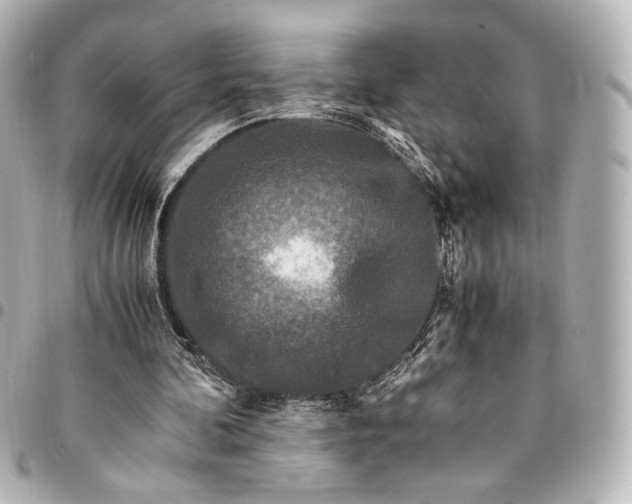 X0000095520292200712281506