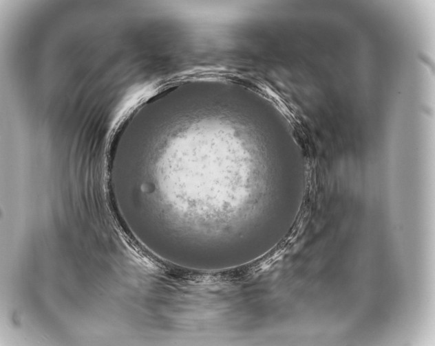 X0000095520293200712281506