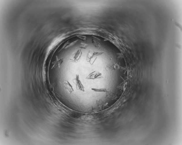 X0000095520294200712281506