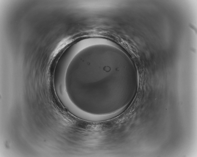 X0000095520295200712281506