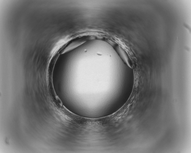 X0000095520296200712281506